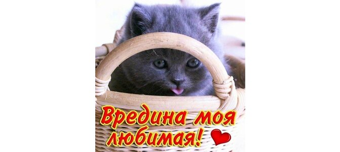 Вредина открытка, картинки рабочий стол