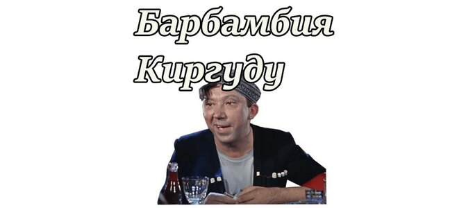 Бамбарбия киргуду картинки