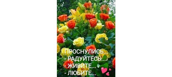 Радуйтесь Живите Любите Картинки