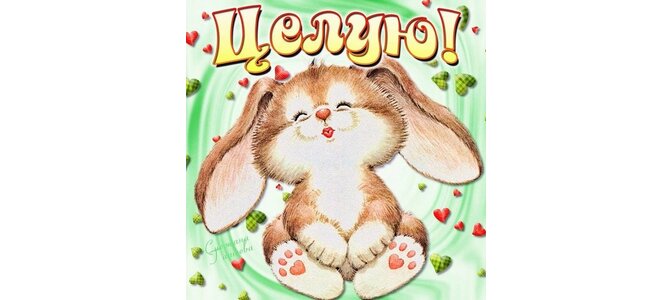 Открытки целую дорогой