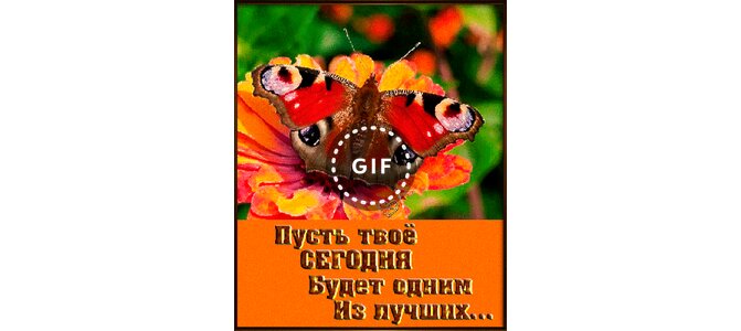 Пусть Сегодня Будет Лучше Чем Вчера Картинки