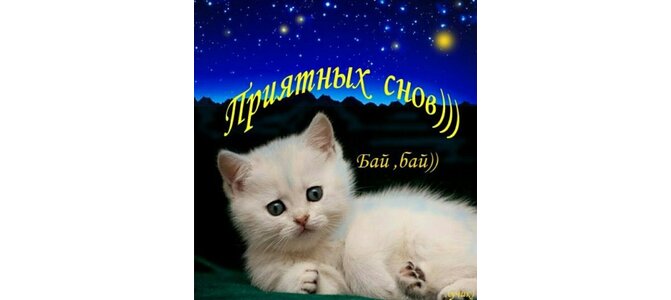 Platon photographer. Человек держит гребень. Бай человек это. Бай человек это. Бай человек это.