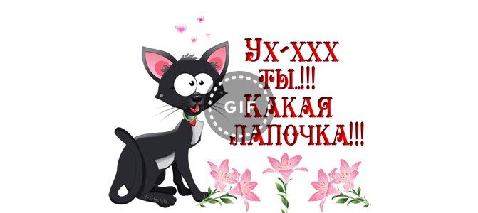 Тишина, моя лапочка картинки мужчине прикольные