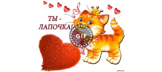 Картинки, открытка какая лапочка