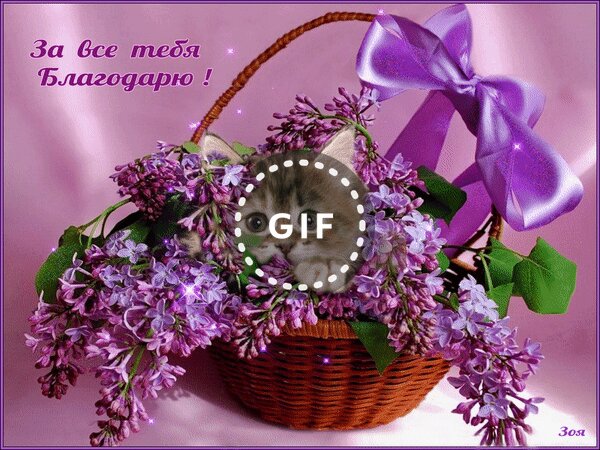 Анимированная открытка "За все тебя благодарю"
