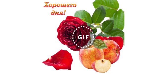 Открытки хэерле кон