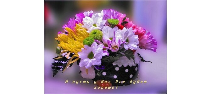 Открытки с цветами