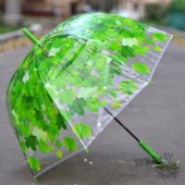 Прозрачный зонт "Зеленая рапсодия"