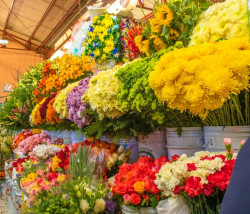 Огромные охапки цветов в ведрах в цветочном магазине