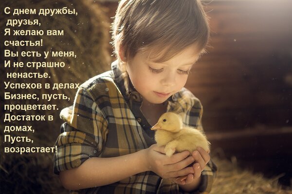 Открытка С днем дружбы, друзья, Я желаю вам счастья! Вы есть у меня, И не страшно ненастье. Успехов в делах,