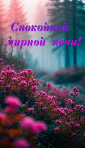 Открытка Спокойной мирной ночи!