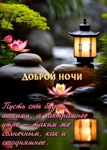 Открытка Пусть сны будут лёгкими, а завтрашнее утро — таким же солнечным, как и сегодняшнее.