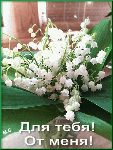 Анимированная открытка Для тебя! От меня!, (М. С.)