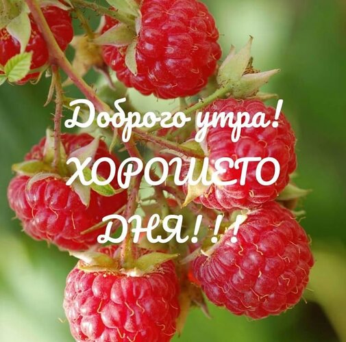 Открытка с добрым утром