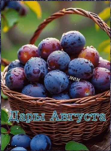 Анимированная открытка Дары Августа