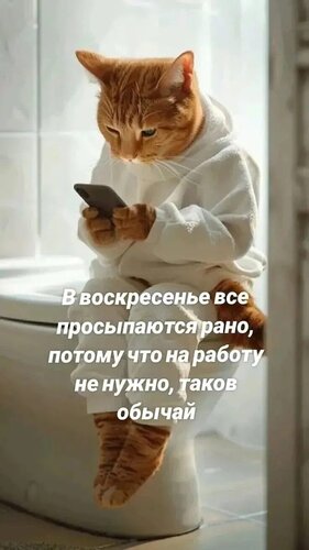 Открытка В воскресенье все просыпаются рано