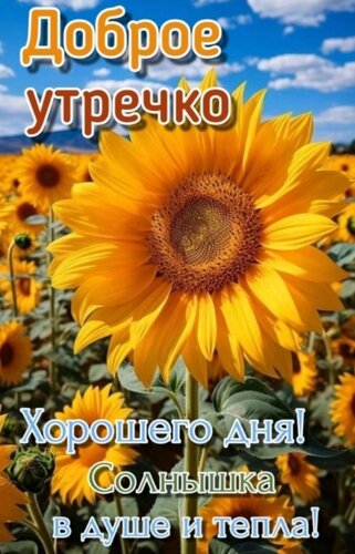 Открытка Доброе утречко