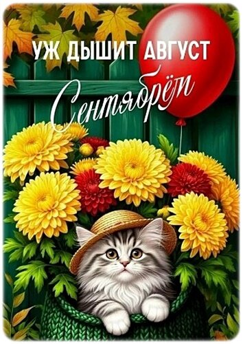 Открытка Уж дышит август сентябрем