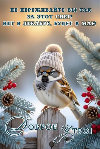 Открытка ДОБРОЕ УТРО! НЕ ПЕРЕЖИВАЙТЕ ВЫ ТАК ЗА ЭТОТ СНЕГ! НЕТ В ДЕКАБРЕ, БУДЕТ В МАЕ!