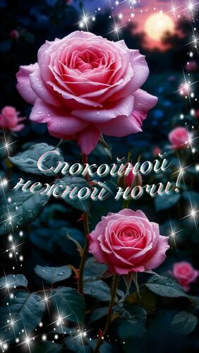Открытка Спокойной нежной ночи!