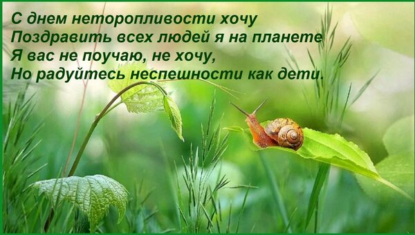 Открытка С днем неторопливости хочу Поздравить всех людей я на планете Я вас не поучаю, не хочу, Но радуйтесь