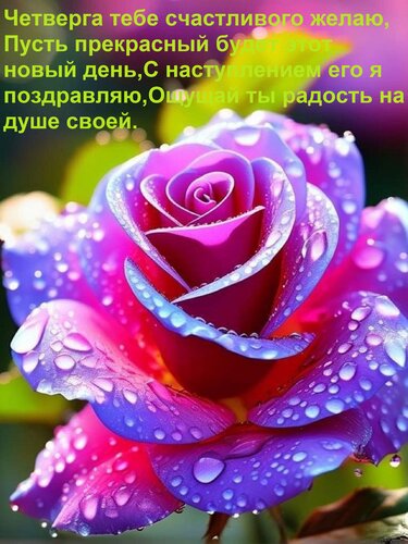 Открытка Четверга тебе счастливого желаю, Пусть прекрасный будет этот новый день, С наступлением его я поздра
