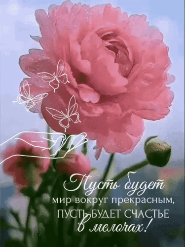 Анимированная открытка Пусть будет мир вокруг прекрасным, пусть будет счастье в мелочах!