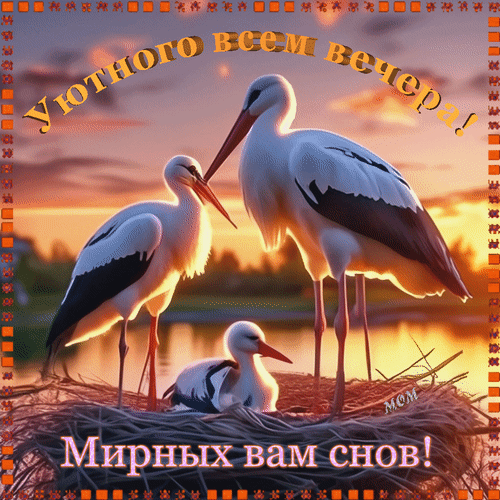 Анимированная открытка Уютного всем вечера! Мирных вам снов!