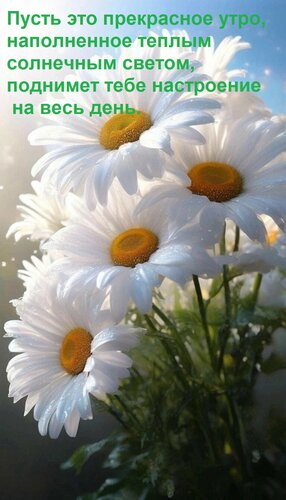Открытка Пусть это прекрасное утро, наполненное теплым солнечным светом, поднимет тебе настроение на весь д