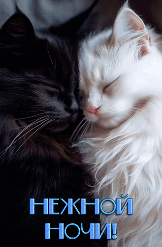 Анимированная открытка Нежной ночи!