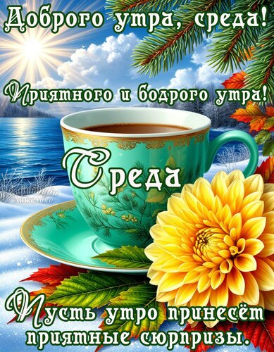 Открытка Среда