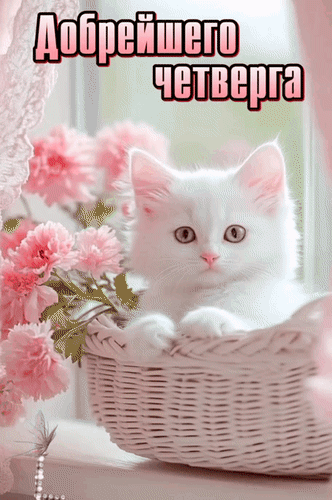 Анимированная открытка Добрейшего четверга