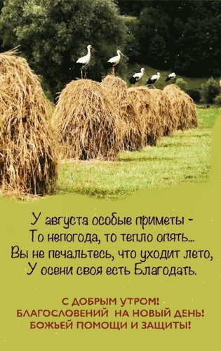 Анимированная открытка У августа особые приметы - то непогода, то тепло опять... Вы не печальтесь, что уходит лето, у осени