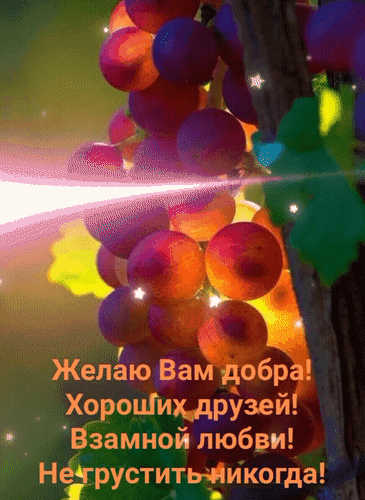 Анимированная открытка Желаю вам добра! Хороших друзей! Взаимной любви! Не грустить никогда!