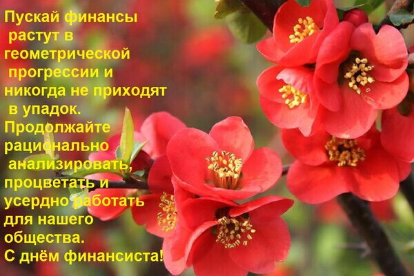 Открытка Пускай финансы растут в геометрической прогрессии и никогда не приходят в упадок. Продолжайте рацион
