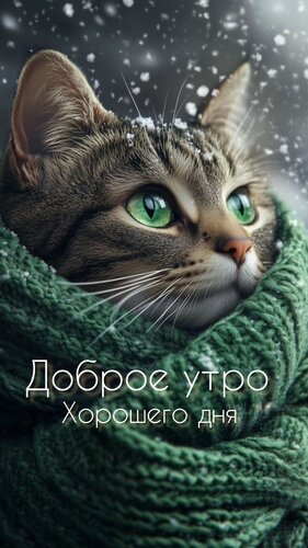 Открытка доброе утро