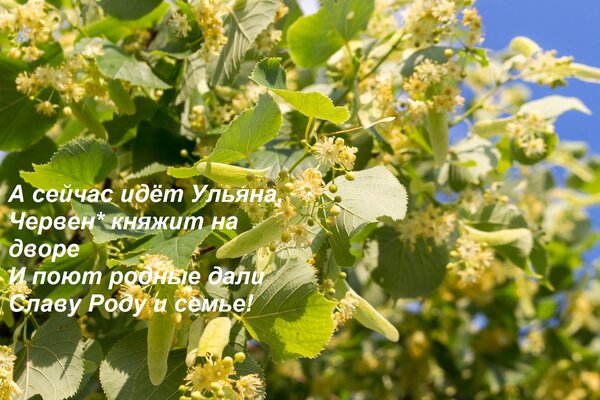 Открытка А сейчас идёт — Ульяна, Червен* княжит на дворе И поют родные дали Славу Роду и семье!