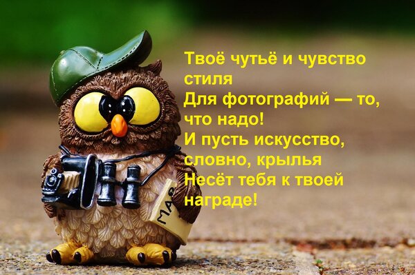 Открытка Твоё чутьё и чувство стиля Для фотографий — то, что надо! И пусть искусство, словно, крылья Несёт те
