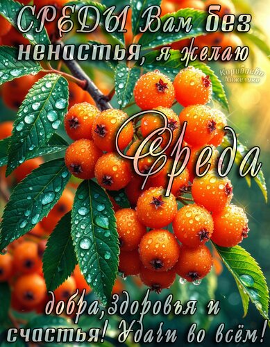 Открытка Среда