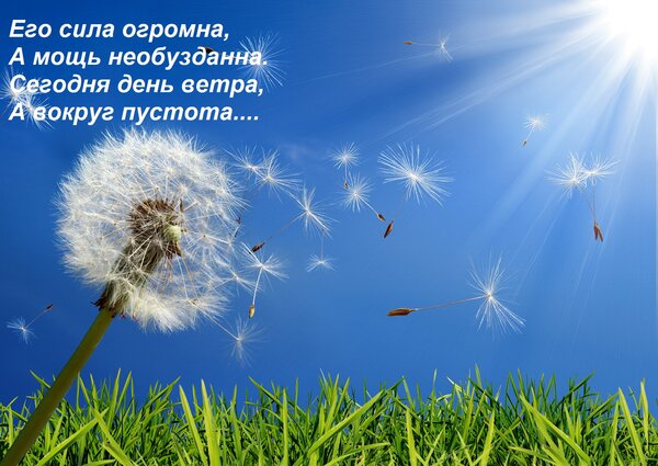 Открытка Его сила огромна, А мощь необузданна. Сегодня день ветра, А вокруг пустота....