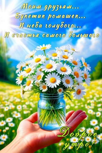 Открытка ДОБРОЕ УТРО! МОИ ДРУЗЬЯМ...БУКЕТИК РОМАШЕК...И НЕБА ГОЛУБОГО... И СЧАСТЬЯ САМОГО БОЛЬШОГО