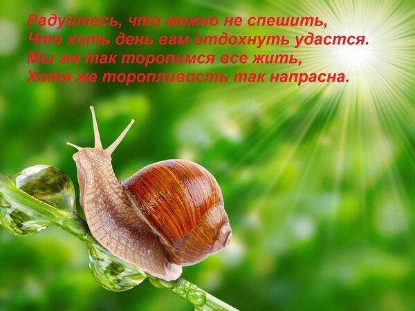 Открытка Радуйтесь, что можно не спешить, Что хоть день вам отдохнуть удастся. Мы же так торопимся все жить,