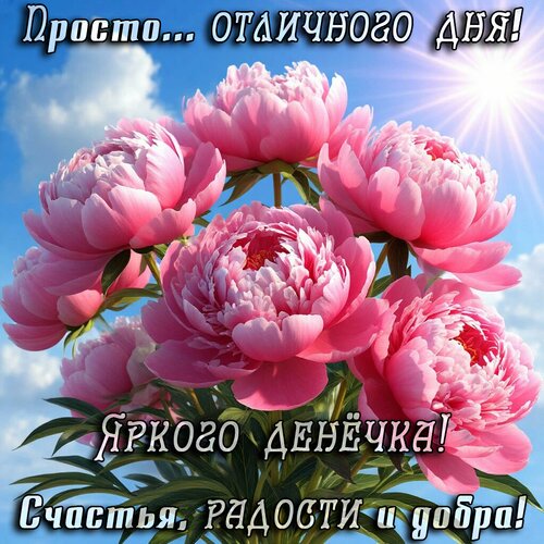 Открытка Добрый день!