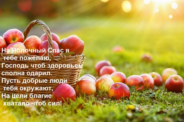Открытка На Яблочный Спас я тебе пожелаю, Господь чтоб здоровьем сполна одарил. Пусть добрые люди тебя окружа