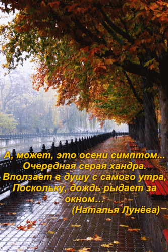 Анимированная открытка А, может, это осени симптом... Очередная серая хандра. Вползает в душу с самого утра, поскольку, дож
