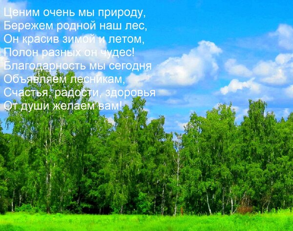 Открытка Ценим очень мы природу, Бережем родной наш лес, Он красив зимой и летом, Полон разных он чудес! Благ