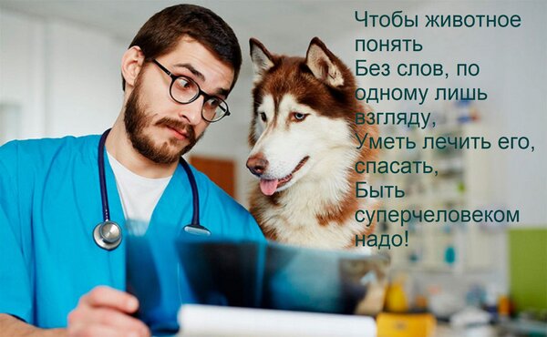 Открытка Чтобы животное понять Без слов, по одному лишь взгляду, Уметь лечить его, спасать, Быть суперчеловек