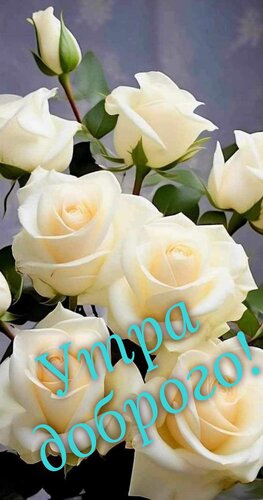 Открытка Утра доброго!