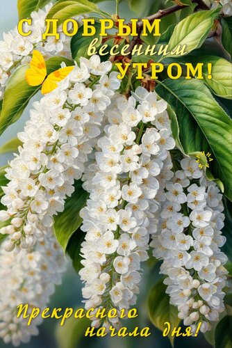 Открытка С ДОБРЫМ ВЕСЕННИМ УТРОМ! ПРЕКРАСНОГО НАЧАЛА ДНЯ!