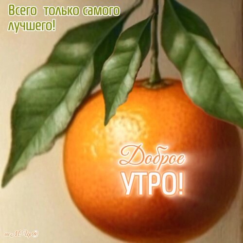 Открытка Всего только самого лучшего!